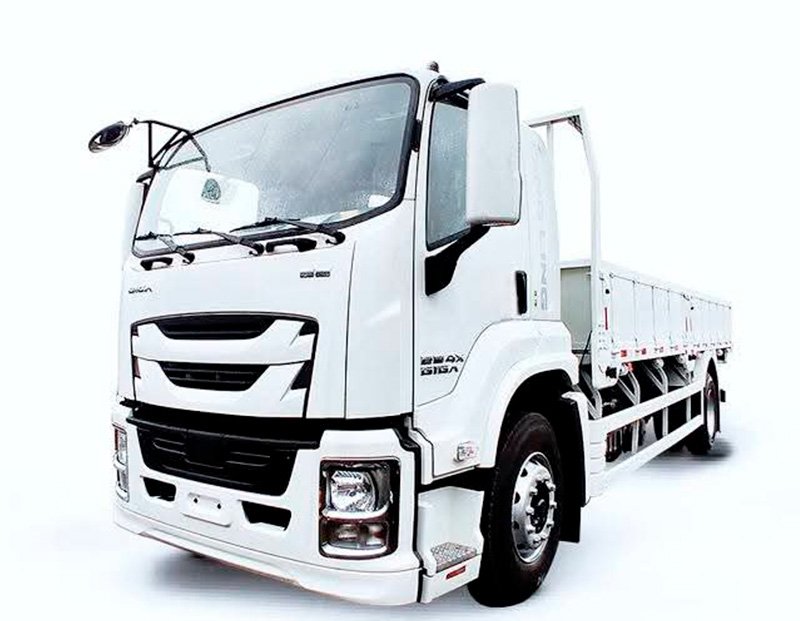 QINGLING GIGA FTR QL1180 (10 TONELADAS)
