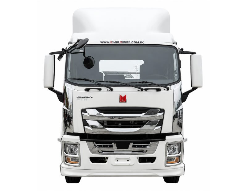 QINGLING GIGA FTR QL1180 (10 TONELADAS)